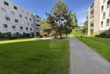 Superbe appartement moderne