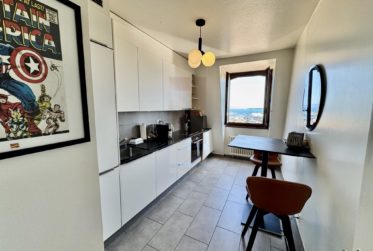 Superbe appartement rénové au coeur de la vieille ville avec vue lac et Cathédrale