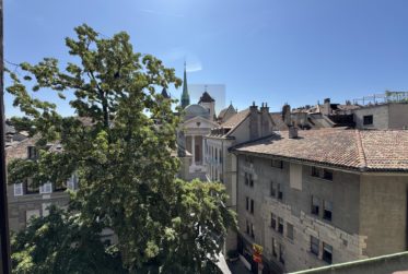 Superbe appartement rénové au coeur de la vieille ville avec vue lac et Cathédrale