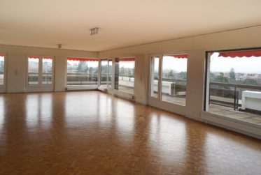 Bel Attique avec vue dégagée