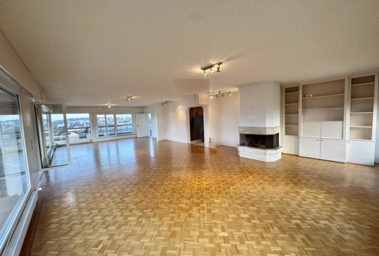 Bel Attique avec terrasse et vue dégagée à 180 degrés