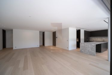 Superb contemporary apartment in Chêne-Bougeries