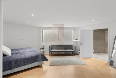 9 Rooms House, Modern house