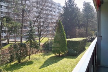 5.5 Rooms Flat