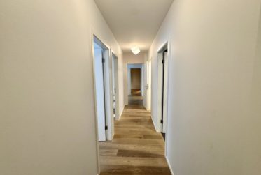 7 Rooms Flat, Apartment with garden