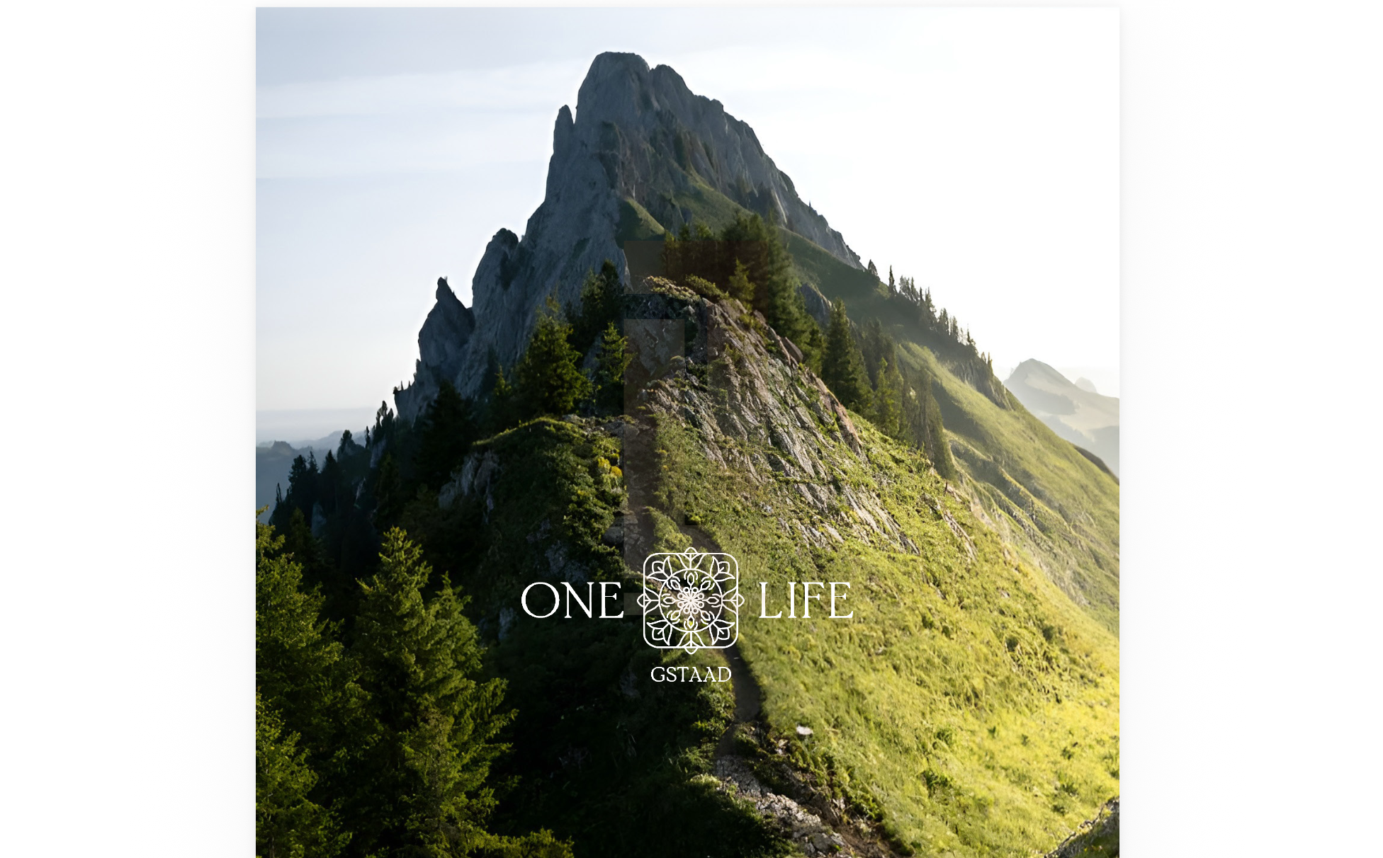 ONE LIFE GSTAAD | L'Art de Vivre Alpin en Toute Intimité
