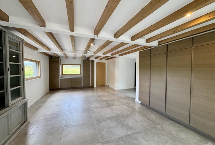 10 Rooms House, Modern house