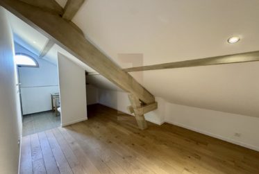 Belle villa contemporaine au coeur de la campagne genevoise